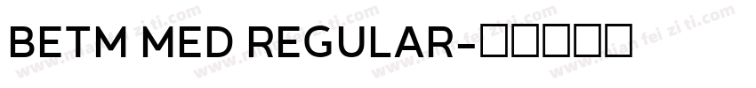 BETM MED REGULAR字体转换